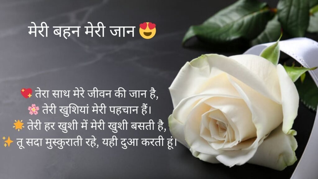 sister love shayari