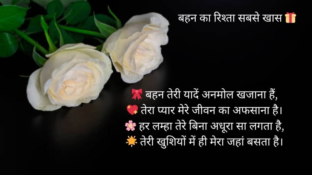 sister love shayari