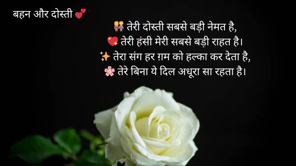 sister love shayari