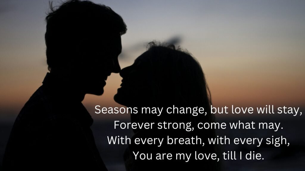 shayari on love in english