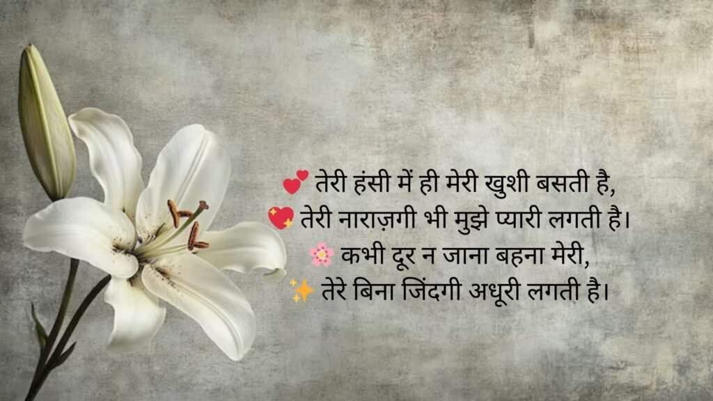 sister love shayari