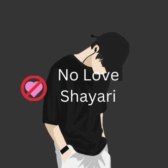 no love shayari