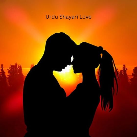 urdu shayari love