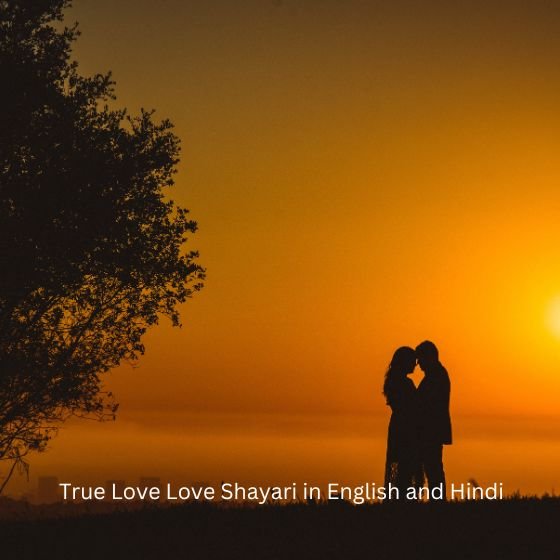 true love love shayari in english