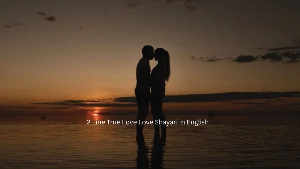 2 line true love love shayari in english