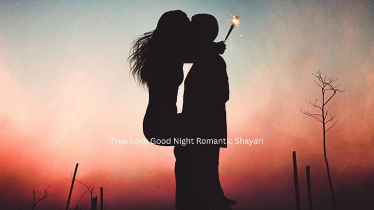 true love good night romantic shayari